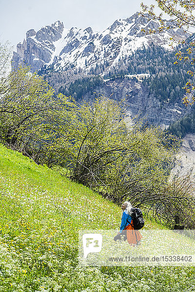 Frau beim Wandern durch Wildblumen in den Dolomiten  Italien
