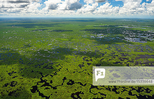 Luftaufnahme des Everglades-Nationalparks in Florida  USA
