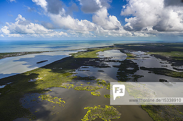 Aerial view of Everglades National Park in Florida  USA