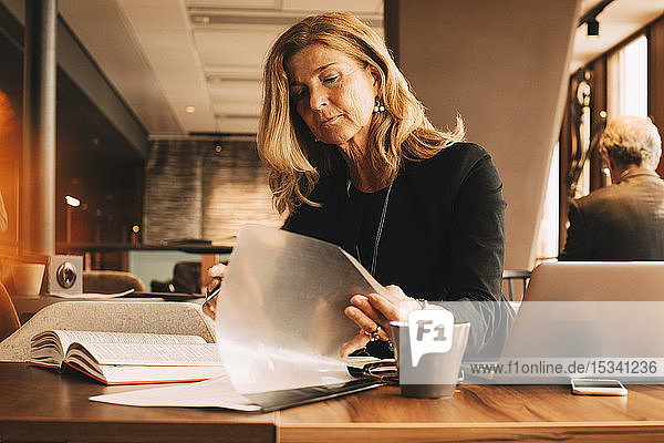 Female lawyer reading documents and using laptop while sitting at cafeteria in law office