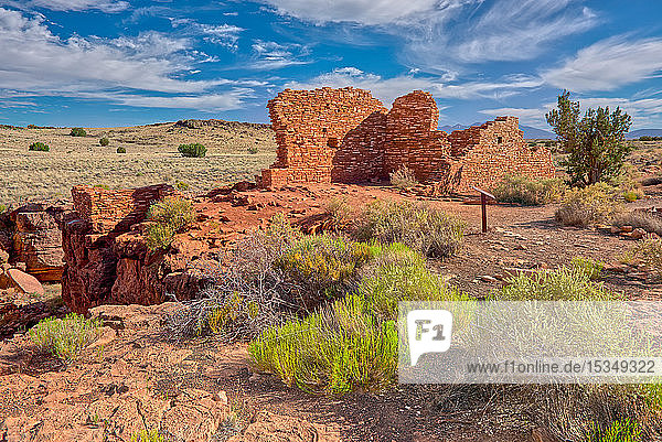Lomaki Pueblo Ruinen  Wupatki National Monument  Arizona  Vereinigte Staaten von Amerika  Nordamerika
