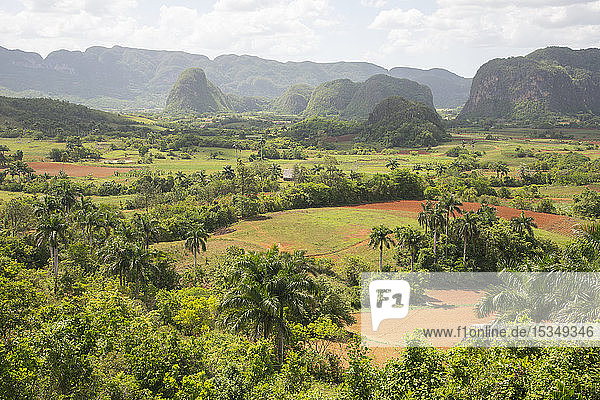 Blick auf das schöne Tal von Vinales  UNESCO-Weltkulturerbe  Kuba  Westindien  Karibik  Mittelamerika