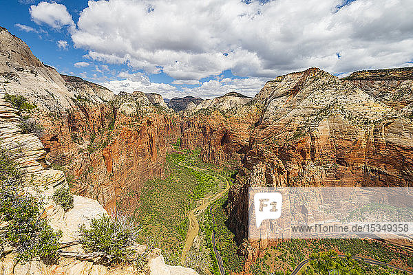 Blick in den Zion Canyon von Angels Landing  Zion National Park  Utah  Vereinigte Staaten von Amerika  Nord-Amerika