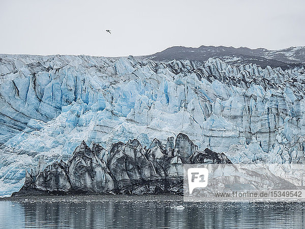 Lamplugh Glacier a tidewater glacier in Glacier Bay National Park and Preserve Southeast Alaska United States of America North America