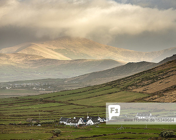 Traditionelle Häuser  Felder und Berge  Blick nach Norden von Waymont  Dingle-Halbinsel  County Kerry  Munster  Republik Irland  Europa