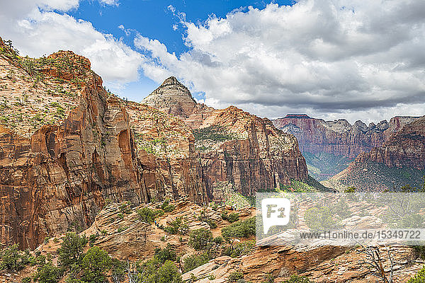 Aussichtspunkt am Canyon  Zion National Park  Utah  Vereinigte Staaten von Amerika  Nordamerika