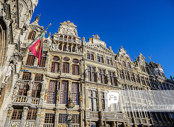 Häuser am Grand Place  UNESCO-Weltkulturerbe  Brüssel  Belgien  Europa