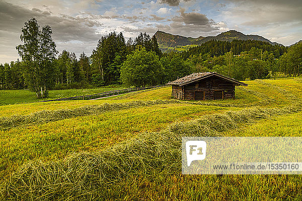 Ansicht einer traditionellen Blockhütte am Schwarzsee bei Kitzbühel  Tirol  Österreich  Europa