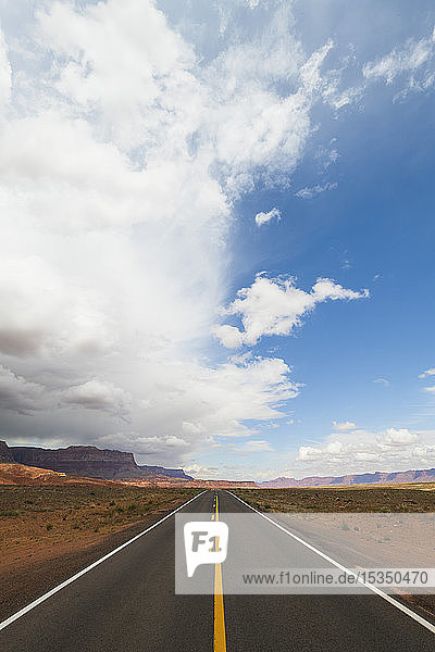 Highway on the North Rim of the Grand Canyon  Arizona  United States of America  North America