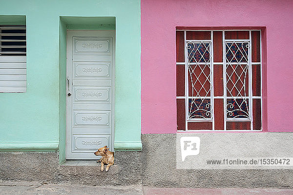 Hund vor einem farbenfrohen Haus in Trinidad  Kuba  Westindien  Karibik  Mittelamerika  faulenzend
