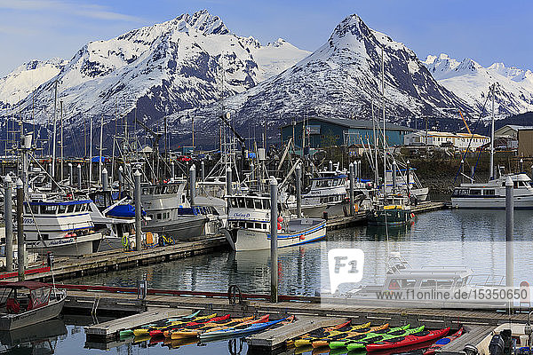 Small Boat Harbor  Valdez  Prince William Sound  Alaska  Vereinigte Staaten von Amerika  Nordamerika