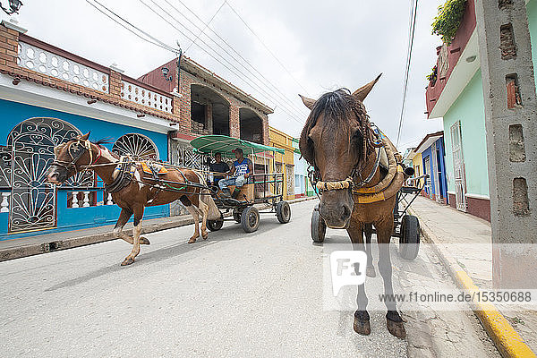 Pferde  die Karren entlang einer Straße in Trinidad  Kuba  Westindien  Karibik  Mittelamerika ziehen