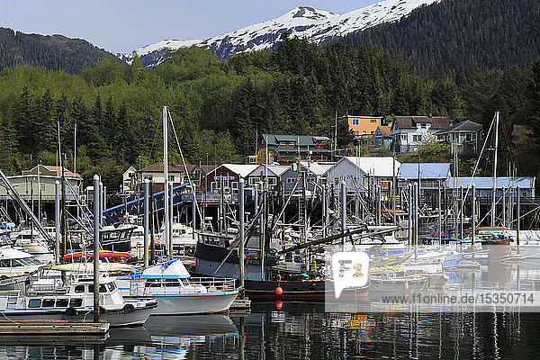 Thomas Basin Bootshafen  Ketchikan  Alaska  Vereinigte Staaten von Amerika  Nord-Amerika
