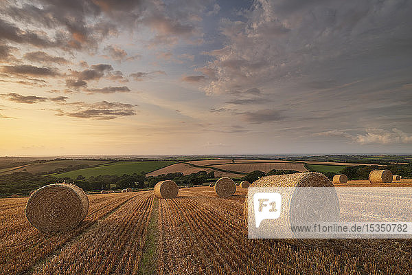 Strohballen bei Sonnenuntergang im ländlichen Devon  Livaton  Devon  England  Vereinigtes Königreich  Europa