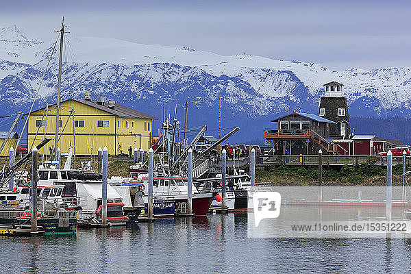 Fischerboote,  Homer,  Alaska,  Vereinigte Staaten von Amerika,  Nordamerika