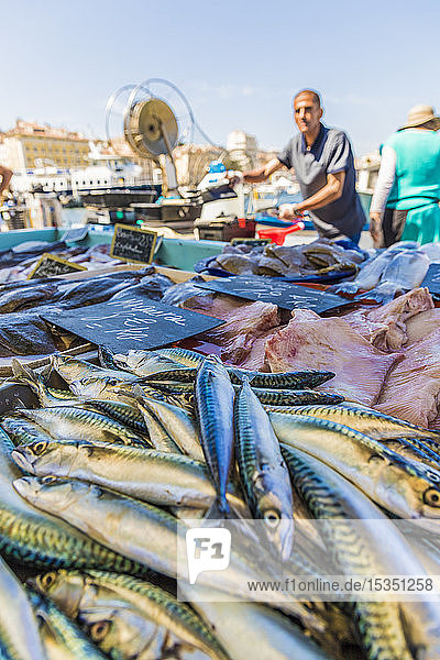 Fish market in the Old Port in Marseille  Bouches du Rhone  Provence  Provence Alpes Cote d'Azur  France  Mediterranean  Europe