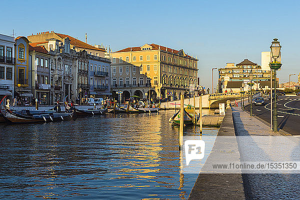 Moliceiros moored along the main canal at sunset  Aveiro  Venice of Portugal  Beira Littoral  Portugal  Europe