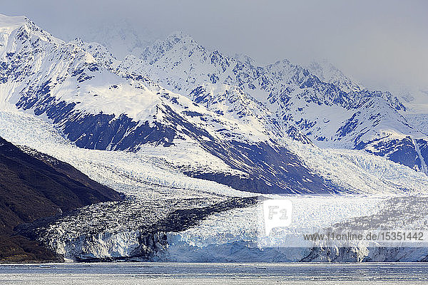 Harvard-Gletscher im College Fjord  Südost-Alaska  Vereinigte Staaten von Amerika  Nordamerika