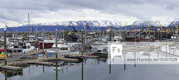 Fischerboote  Homer  Alaska  Vereinigte Staaten von Amerika  Nordamerika