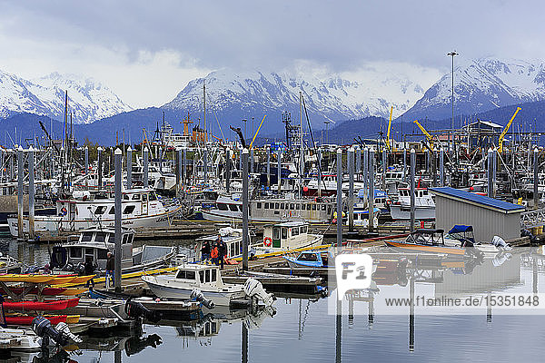 Fischerboote  Homer  Alaska  Vereinigte Staaten von Amerika  Nordamerika