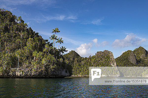 Karst limestone formations in Wayag Island  Raja Ampat  West Papua  Indonesia  Southeast Asia  Asia