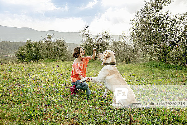 Girl crouching to play with labrador dog in scenic field landscape  Citta della Pieve  Umbria  Italy