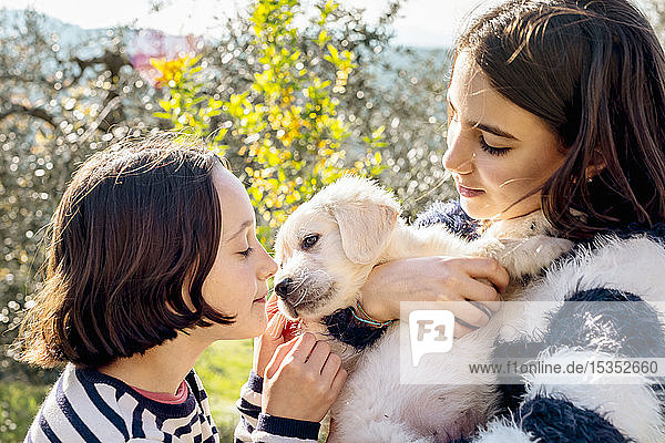 Two girls holding and petting a cute golden retriever puppy in orchard  Scandicci  Tuscany  Italy