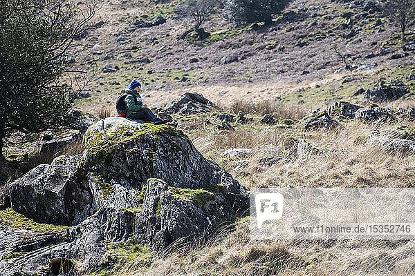 Boy exploring national park  Llanaber  Gwynedd  United Kingdom