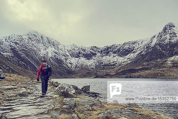Männlicher Wanderer wandert entlang einer Seenlandschaft mit schneebedeckten Bergen  Llanberis  Gwynedd  Wales