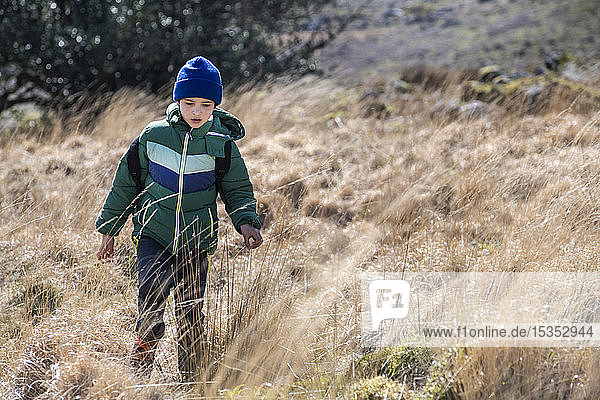 Boy exploring national park Llanaber Gwynedd United Kingdom