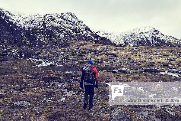 Male hiker looking out at rugged landscape with snow capped mountains  rear view  Llanberis  Gwynedd  Wales