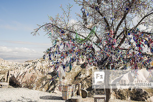 Evil-Eye-Baum Taubental Göreme Kappadokien T�rkei