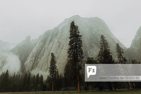 Nebel über Bergen und Wäldern  Yosemite National Park  Kalifornien  Vereinigte Staaten