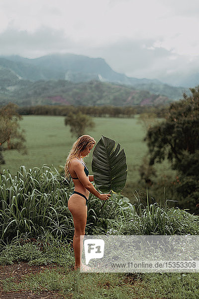 Frau im Bikini mit großem Blatt in der Hand  Princeville  Hawaii  US