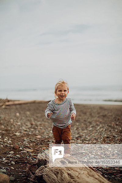 Kleinkind steht auf umgefallenem Baumstamm am Strand