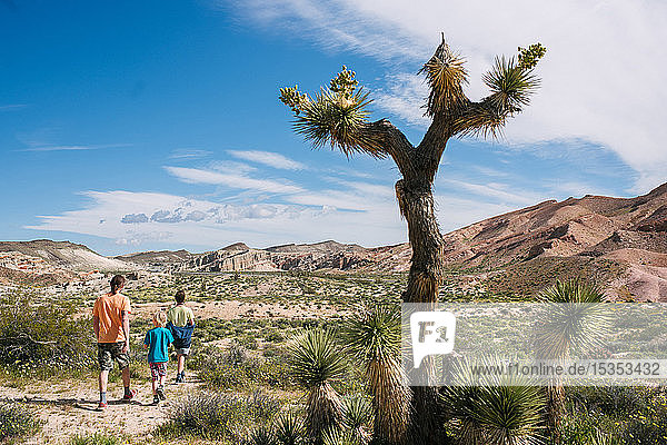 Father and children exploring nature reserve  Red Rock Canyon  Cantil  California  United States