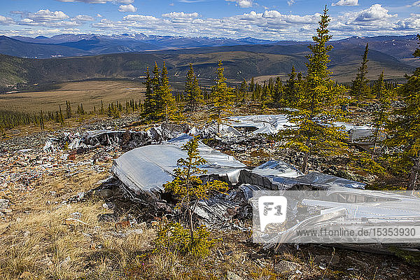 The land reclaiming a 1943 B-24 Liberator crash in the Yukon-Charley Rivers National Preserve Wild and Scenic River Charley River; Alaska United States of America