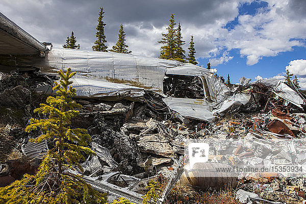 The land reclaiming a 1943 B-24 Liberator crash in the Yukon-Charley Rivers National Preserve Wild and Scenic River Charley River; Alaska United States of America