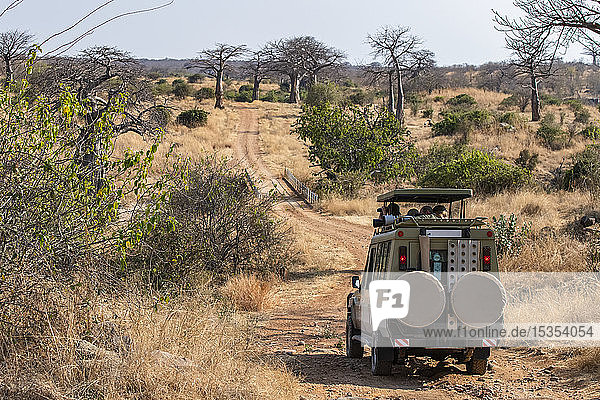 Tourists in safari vehicle looking for wildlife in the dry savannah of Ruaha National Park; Tanzania