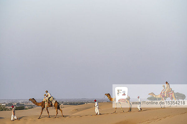 Menschen reiten mit Kamelen in der Wüste bei Sonnenuntergang; Rajasthan  Indien
