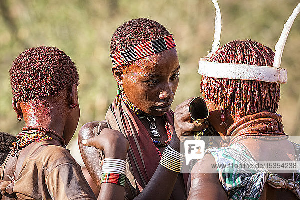 Hamer girls at a bull jumping ceremony  which initiates a boy into manhood  in the village of Asile; Omo Valley  Ethiopia