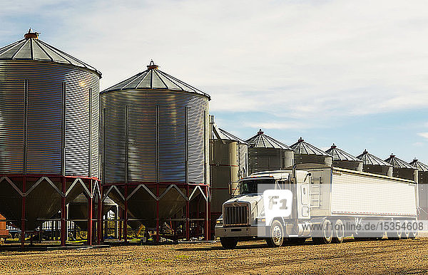 A grain truck parked in front of metal silos during harvest; Legal  Alberta  Canada