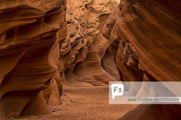 Slot Canyon bekannt als Owl Canyon  in der Nähe von Page; Arizona  Vereinigte Staaten von Amerika
