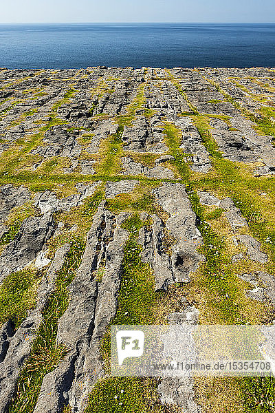 Fels- und Graslandschaft der Inishmore-Insel an der Küste Irlands  Wild Atlantic Way; Inishmore-Insel  Grafschaft Galway  Irland