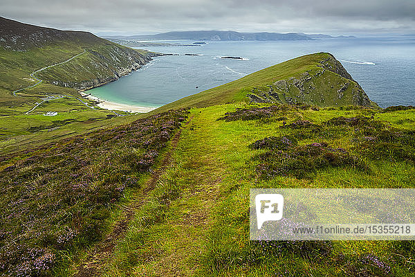 Üppige grasbewachsene Hügel und ein Strand an der Küste Irlands; Irland