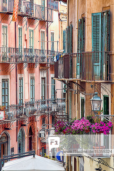 Fassade eines Wohngebäudes mit Balkonen und blühenden Pflanzen; Palermo  Sizilien  Italien
