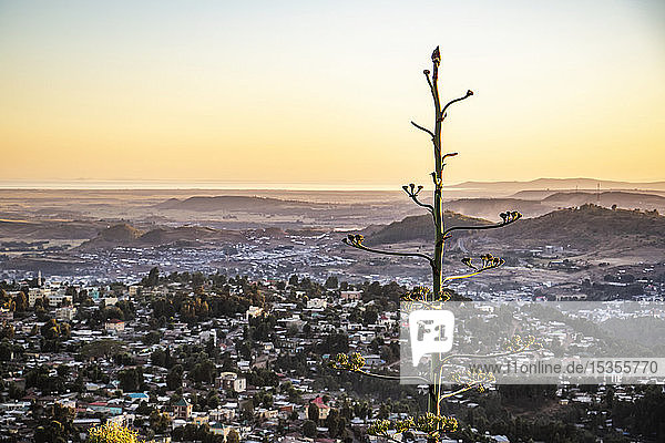 Ansicht von Gondar; Gondar  Amhara Region  Äthiopien