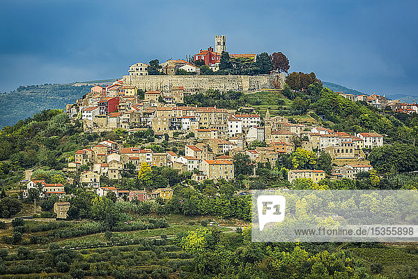 Weinberge rund um die auf einem Hügel gelegene mittelalterliche Stadt Motovun; Motovun  Istrien  Kroatien