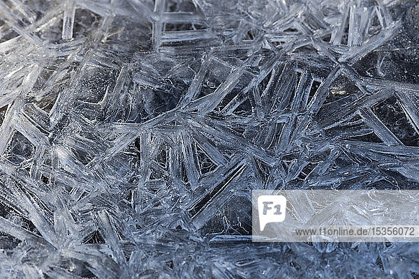 Ice crystals form whimsical patterns during the winter; Astoria  Oregon  United States of America