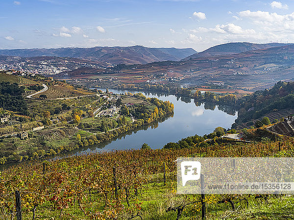 Weinberge an einem Berghang mit einem Fluss  der sich durch die bergige Landschaft schlängelt  Douro-Tal  Nordportugal; Portugal